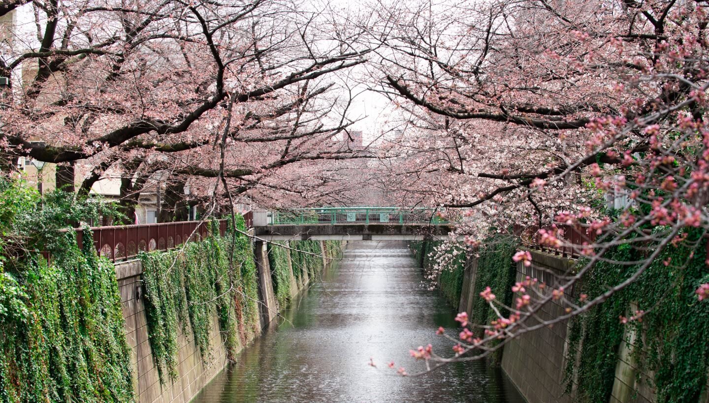 東京オフィス周辺